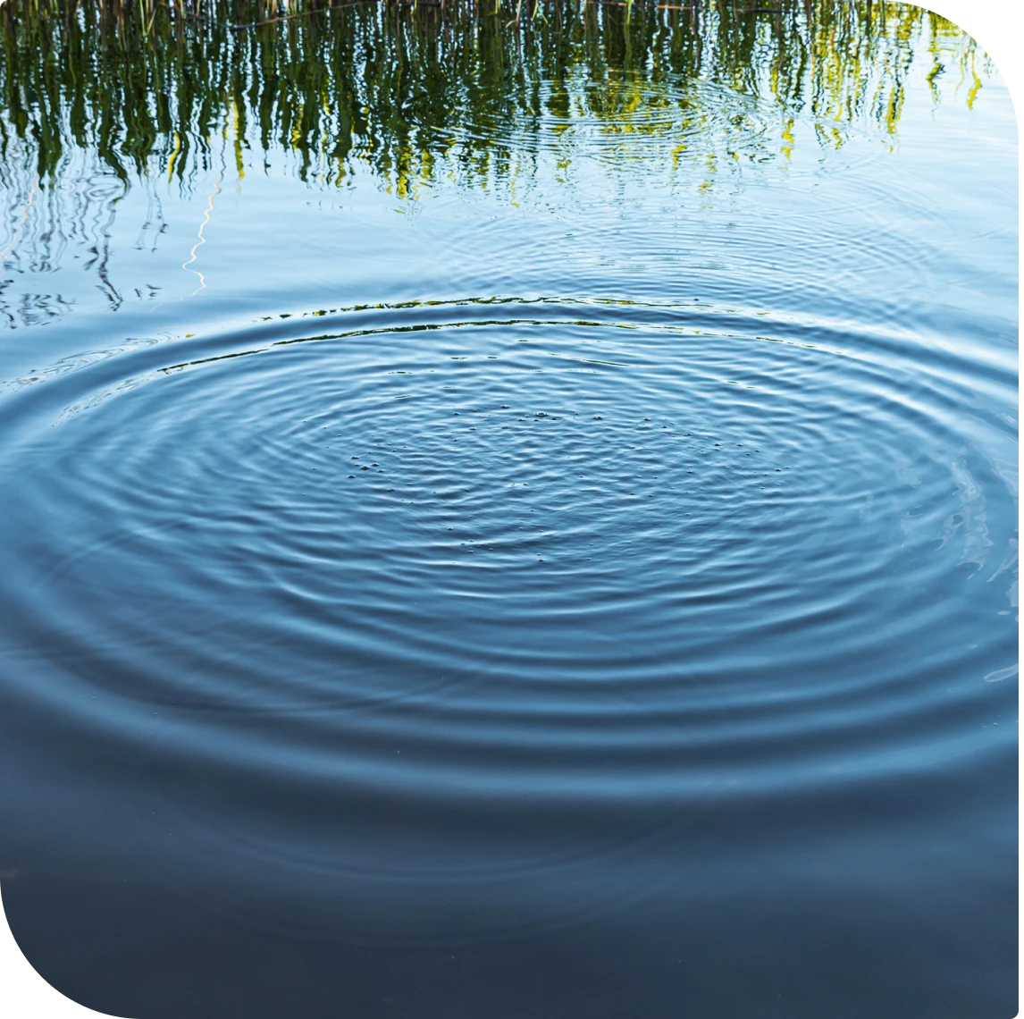 Water ripples reflecting reeds and sky