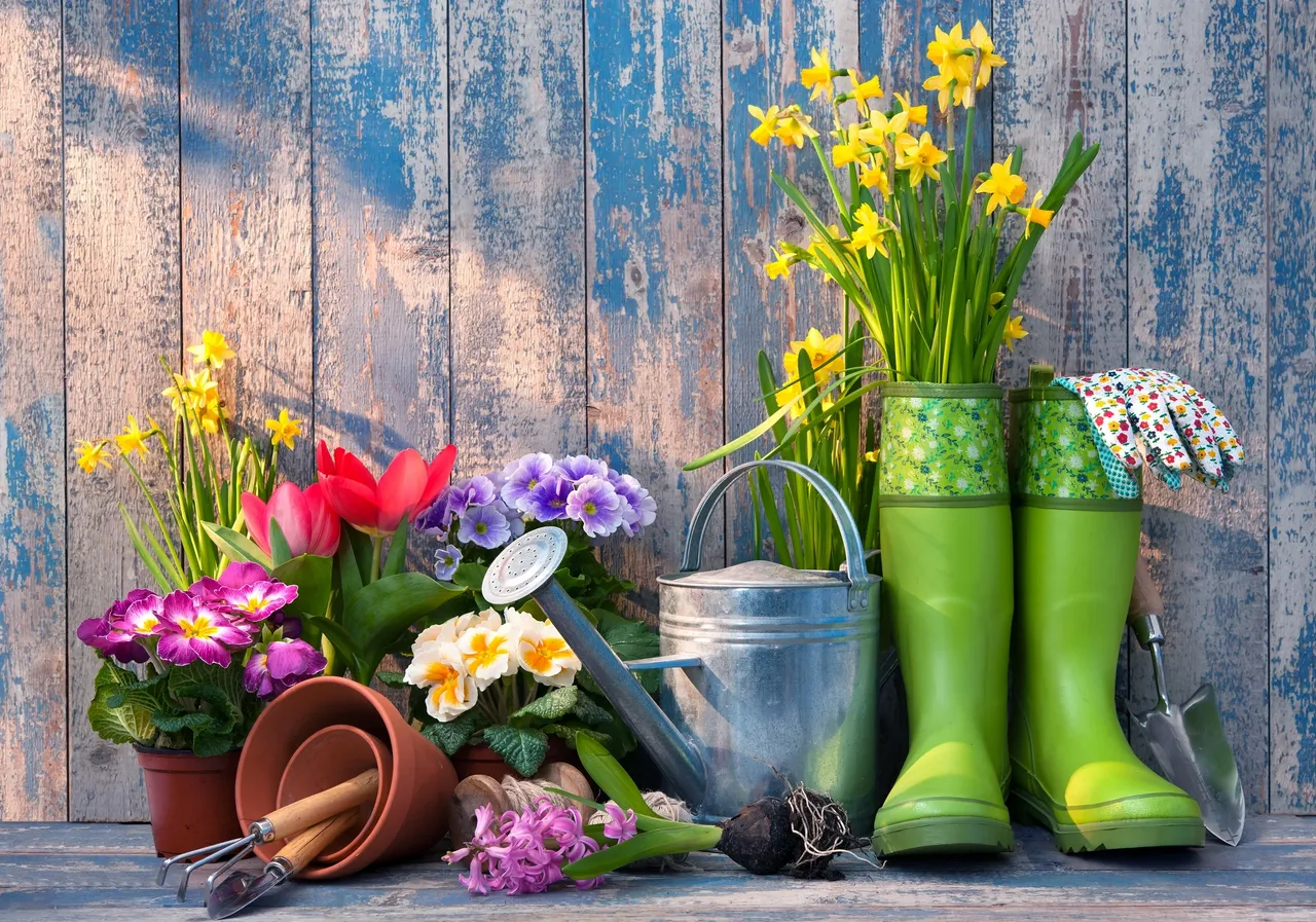 Green boots with daffodils and tulips
