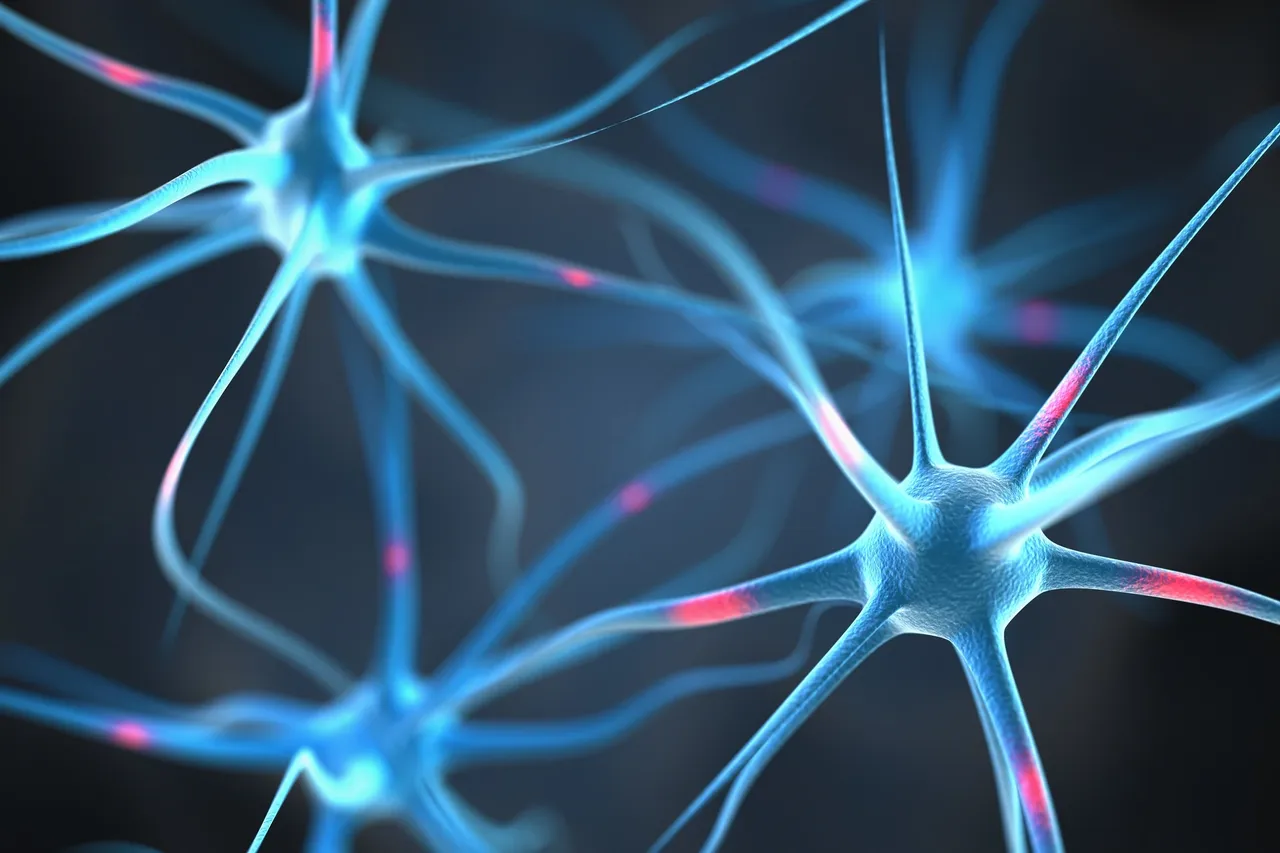 Neurons with glowing synapses